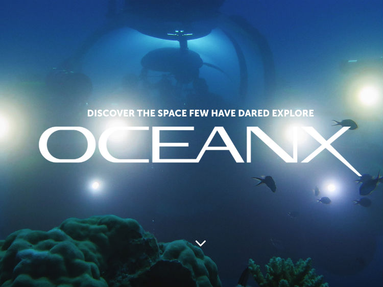 OceanX Is The Latest Billionaire Vanity Exploration Company, And They ...