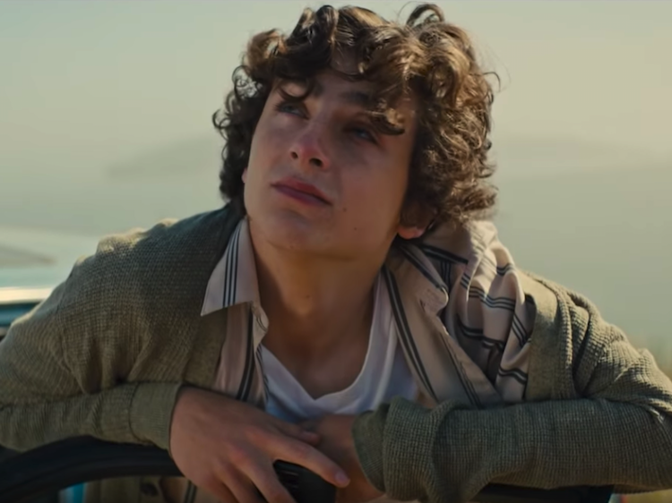 Call Me By Your Name director wants to make sequel with Timothée