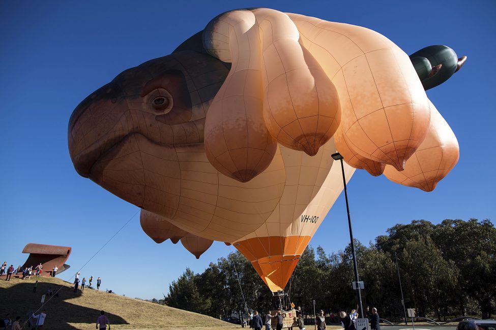Skywhale download the new version for ios