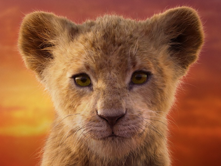 The Lion King Character Posters Confirm That Some Animals Are Better Suited  To The Cartoon World