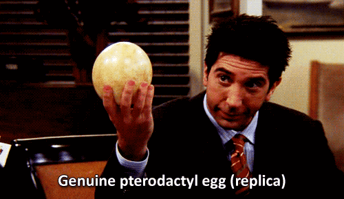everyone wants to tell you how to peel an egg