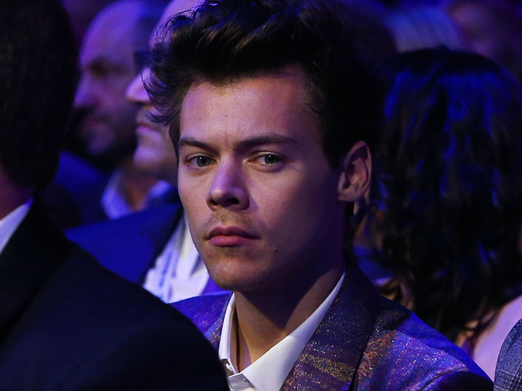 This Tale Of Harry Styles Vegan Stalker Is Absolutely Bonkers