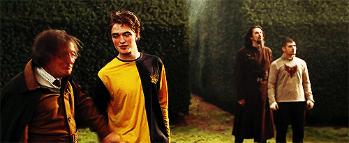Cedric Diggory Harry Potter