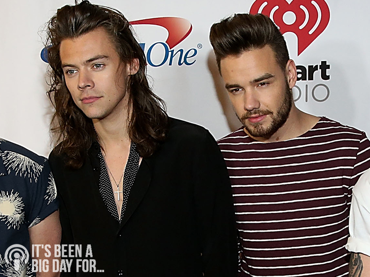 Sounds Like Liam Payne Is Sick Of Being Compared To Harry Styles