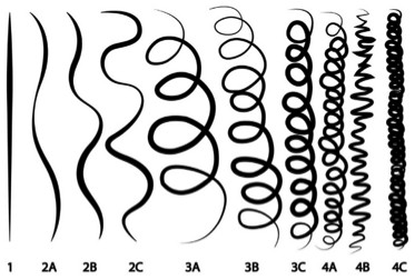 The scale of curly hair - just don't touch it