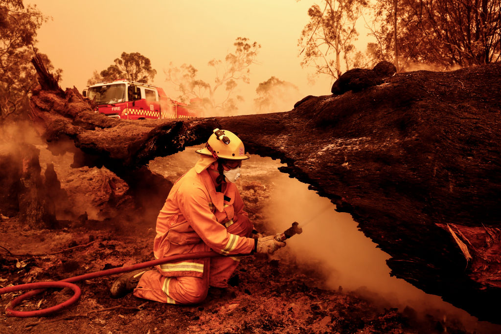 How To Support Bushfire Relief