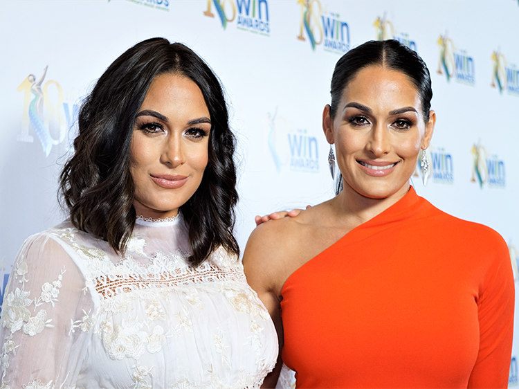 Here's Why Everyone's Talking About The Bella Twins' Pregnancies