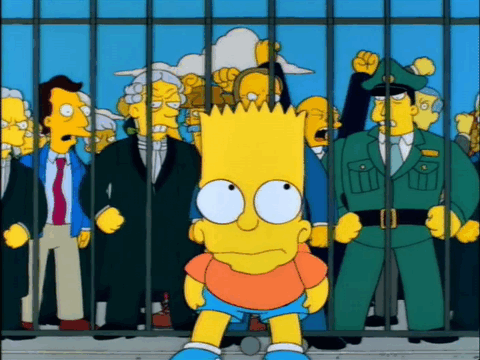 The Simpsons Bart vs Australia Australia