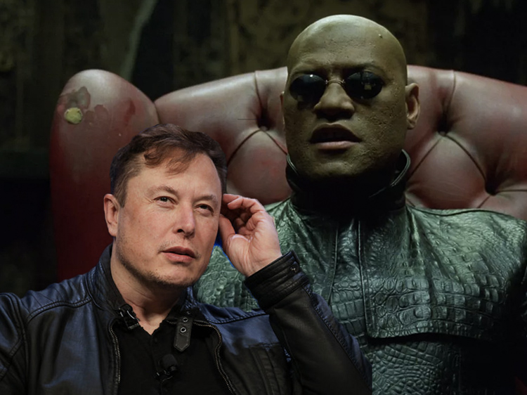 ‘Matrix’ Co-Creator Tore Elon Musk A New One For This Film Reference