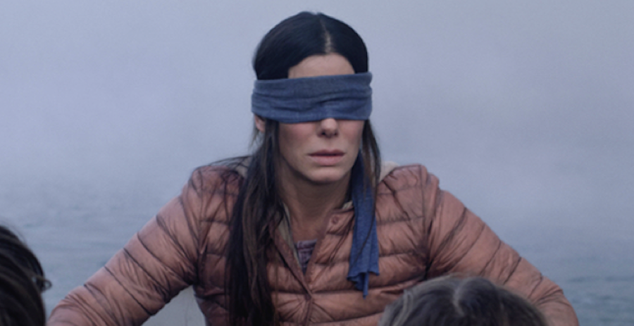 Please Say Sandra Bullock Gets To Remove Her Blindfold In Bird Box 2